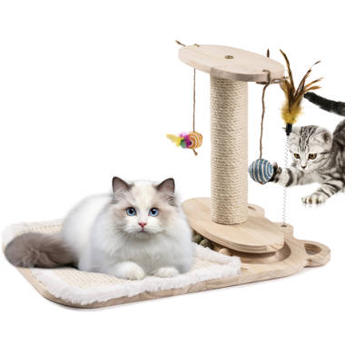 B&m on sale scratch post